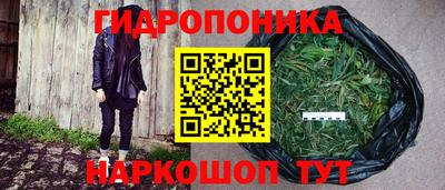 apvp Камышлов