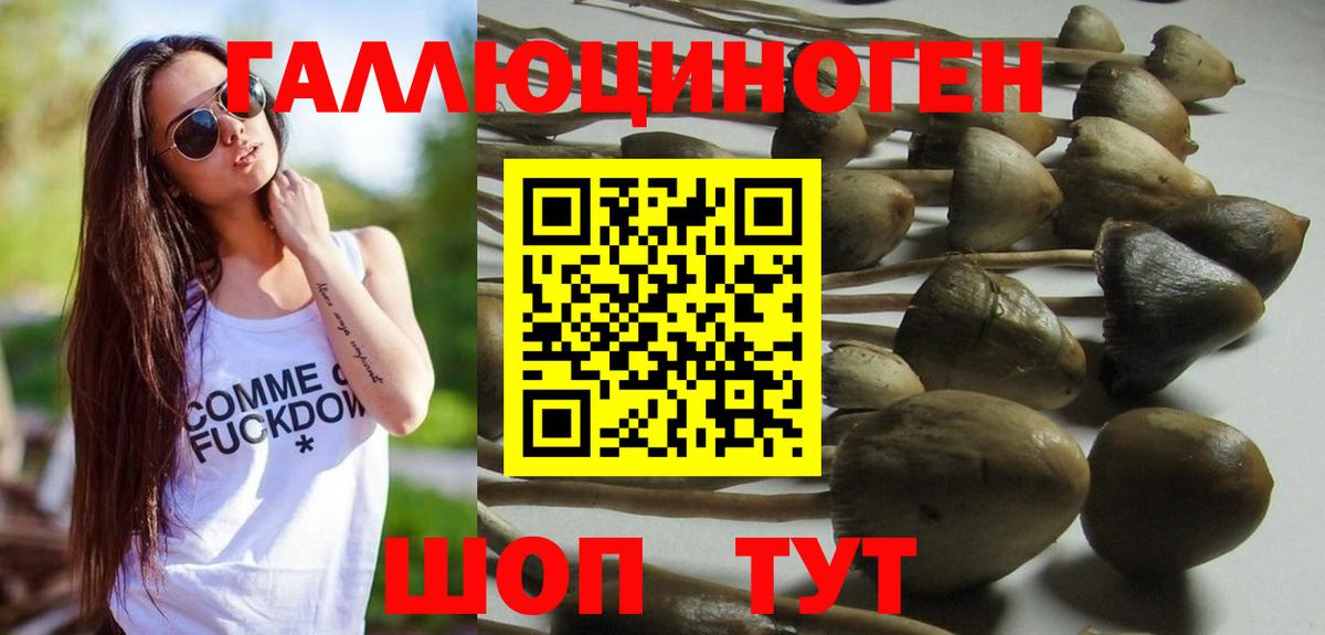 Галлюциногенные грибы Magic Shrooms  Псилоцибиновые грибы GOLDEN TEACHER  Вход с VPN  Лесозаводск 
